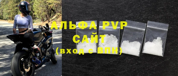 сатива Нестеровская