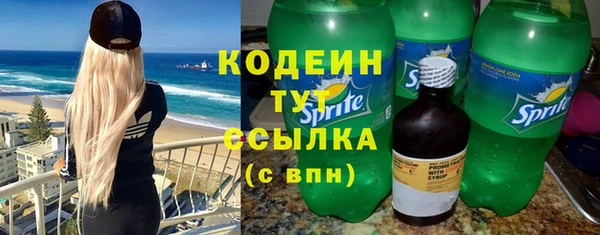 шишки Фёдоровский
