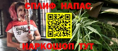 стафф Абинск