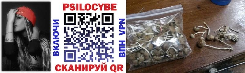 Псилоцибиновые грибы мицелий Балабаново
