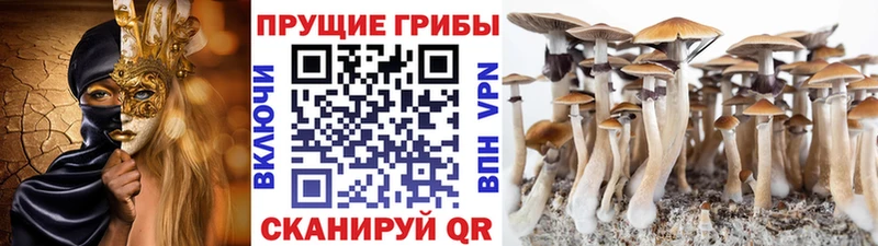 Галлюциногенные грибы прущие грибы Балабаново