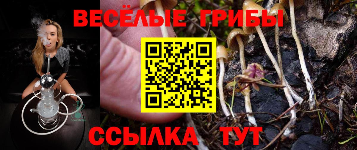 Балабаново  Галлюциногенные грибы GOLDEN TEACHER  где купить наркоту  Вход с VPN 