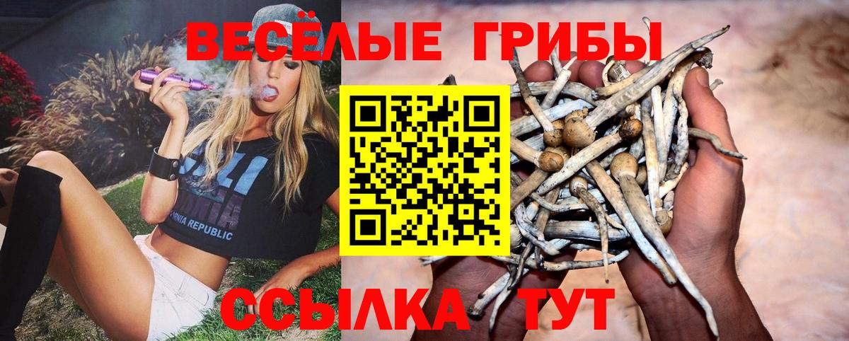 Псилоцибиновые грибы Psilocybe Балабаново
