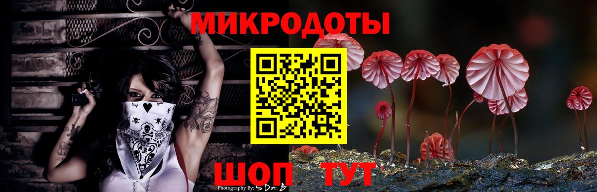 Псилоцибиновые грибы прущие грибы  Галлюциногенные грибы Magic Shrooms  Балабаново 